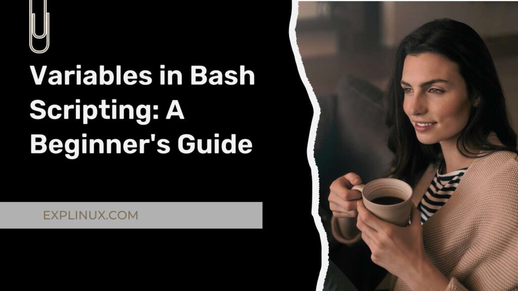 Variables in Bash Scripting A Beginners Guide Variables in Bash Scripting